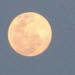la lune